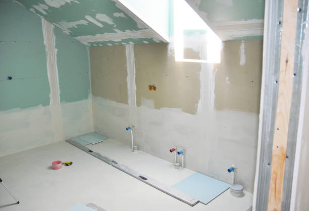 Best Mold Removal for HVAC Installations  in Salisbury, MD