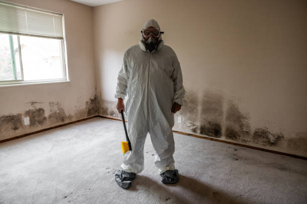 Best Mold Damage Restoration  in Salisbury, MD