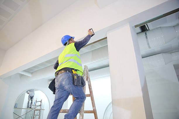 Best Mold Prevention Services  in Salisbury, MD