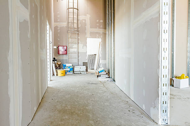 Best Post-Construction Mold Inspection  in Salisbury, MD
