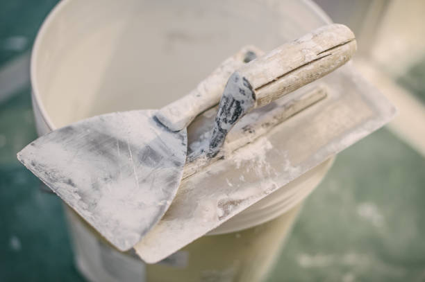 Best Real Estate Mold Inspection  in Salisbury, MD